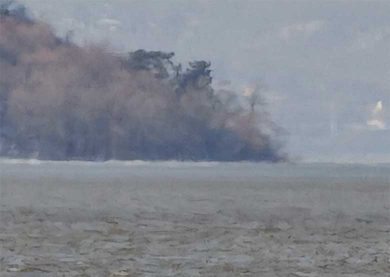 Xiaomi 17 Ultra crop of 200Mp photo