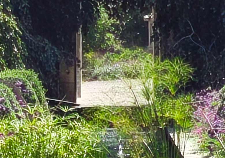 POCO F9 Ultra 200Mp crop